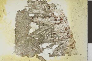 Plane Polarized, S12047
