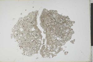 Plane Polarized, S12049