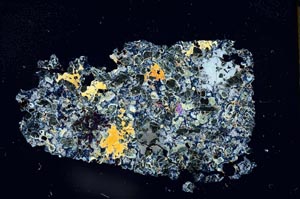 Cross Polarized, S12050