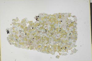 Plane Polarized, S12050