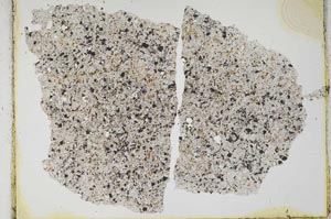 Plane Polarized, S2162