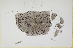Plane Polarized, S2165