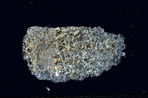 Cross Polarized, S2169