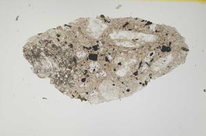 Plane Polarized, S2173