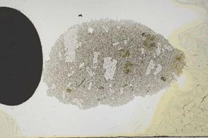 Plane Polarized, S2176