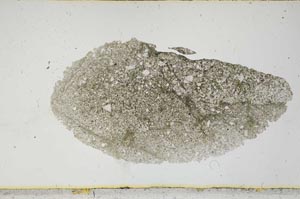 Plane Polarized, S2194