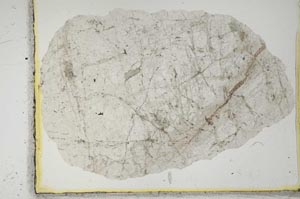 Plane Polarized, S2213