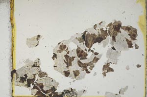Plane Polarized, S2215