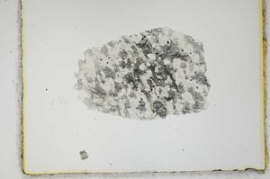 Plane Polarized, S2216