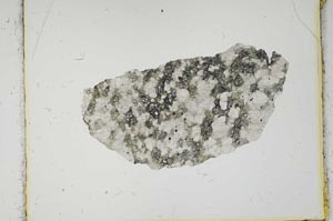 Plane Polarized, S2217