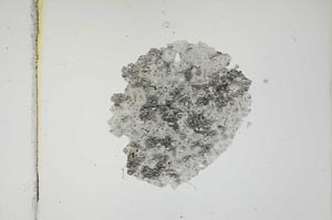 Plane Polarized, S2218