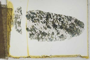 Plane Polarized, S2223