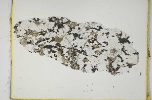 Plane Polarized, S2229