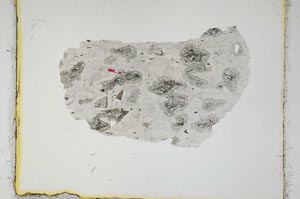 Plane Polarized, S2231