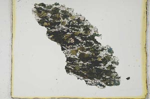 Plane Polarized, S2239