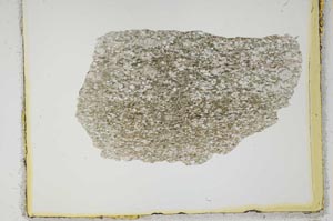 Plane Polarized, S2241