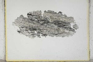 Plane Polarized, S2243