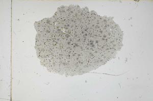 Plane Polarized, S2245