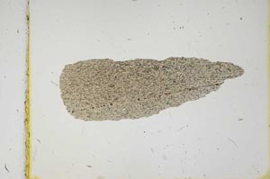 Plane Polarized, S2248