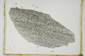 Plane Polarized, S2251