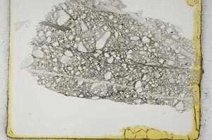 Plane Polarized, S2253