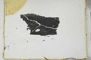 Plane Polarized, S2254