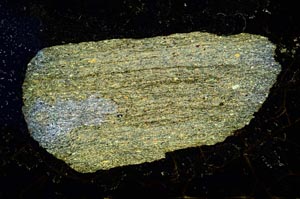 Cross Polarized, S2256