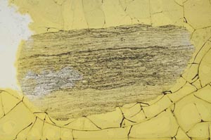 Plane Polarized, S2256