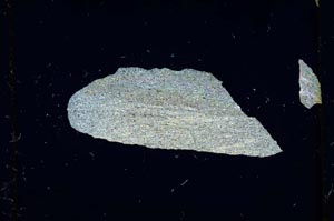 Cross Polarized, S2257