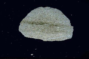 Cross Polarized, S2259