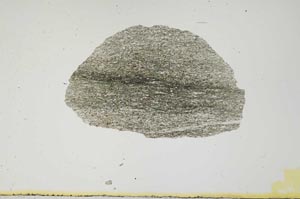 Plane Polarized, S2259