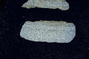 Cross Polarized, S2260