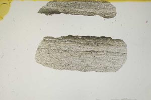 Plane Polarized, S2260