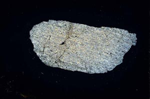 Cross Polarized, S2270