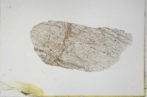 Plane Polarized, S2270