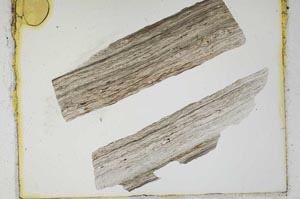 Plane Polarized, S2276