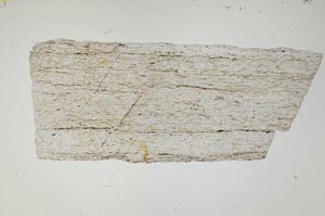 Plane Polarized, S2288
