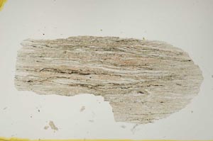 Plane Polarized, S2289