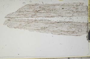Plane Polarized, S2308