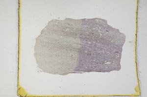 Plane Polarized, S2344