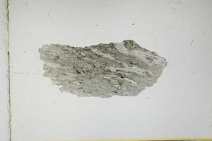 Plane Polarized, S2349