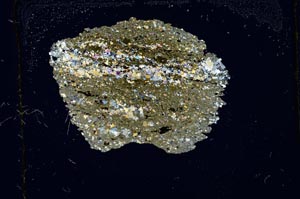 Cross Polarized, S2369