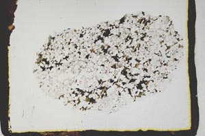 Plane Polarized, S2374