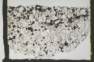 Plane Polarized, S2375