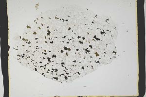 Plane Polarized, S2382