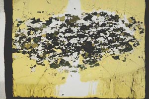 Plane Polarized, S2386