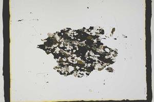 Plane Polarized, S2389