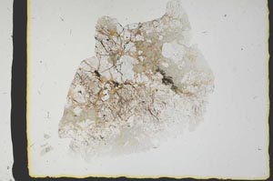 Plane Polarized, S2391