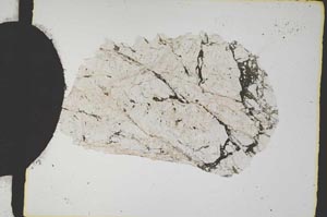 Plane Polarized, S2394