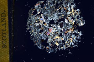 Cross Polarized, S12065